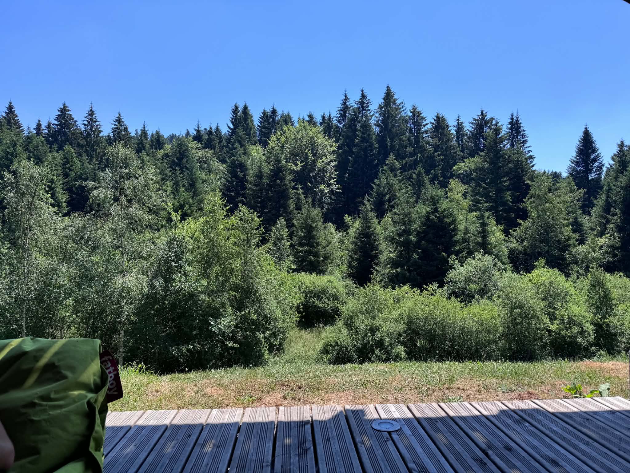 Été — sentiers et forêts
